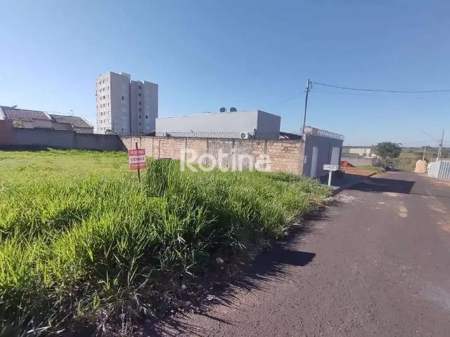 Terreno / Lote para Venda em Uberlândia/MG Jardim Holanda