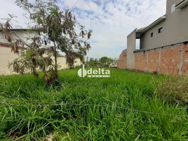 Terreno / Lote para Venda em Uberlândia/MG Jardim Karaíba