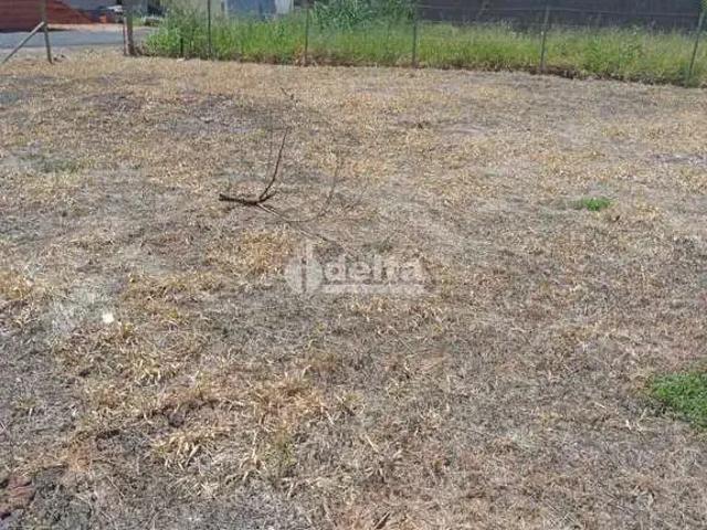 Terreno / Lote para Venda em Uberlândia/MG Jardim Karaíba