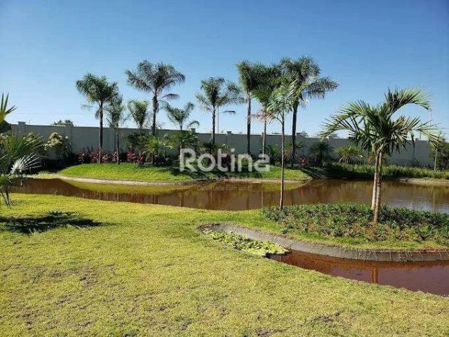 Terreno / Lote para Venda em Uberlândia/MG Jardim Sul