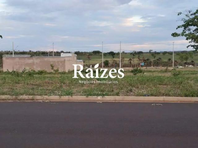 Terreno / Lote para Venda em Uberlândia/MG Jardim Sul