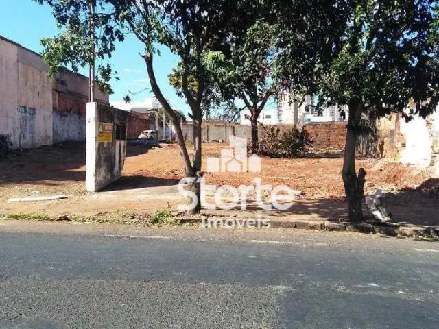 Terreno / Lote para Venda em Uberlândia/MG Osvaldo Rezende