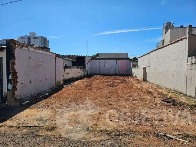 Terreno / Lote para Venda em Uberlândia/MG Osvaldo Rezende