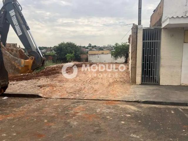 Terreno / Lote para Venda em Uberlândia/MG Osvaldo Rezende