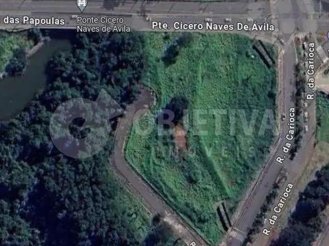 Terreno / Lote para Venda em Uberlândia/MG Loteamento Vale dos Vinhedos