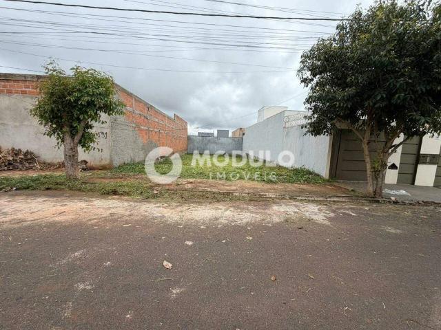 Terreno / Lote para Venda em Uberlândia/MG Loteamento Portal do Vale II