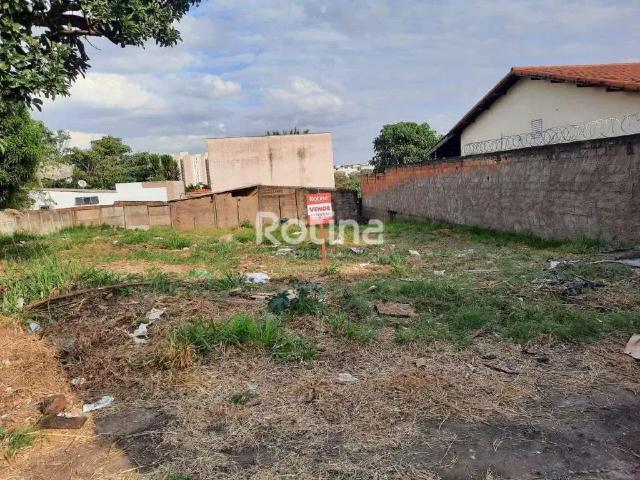 Terreno / Lote para Venda em Uberlândia/MG Lagoinha