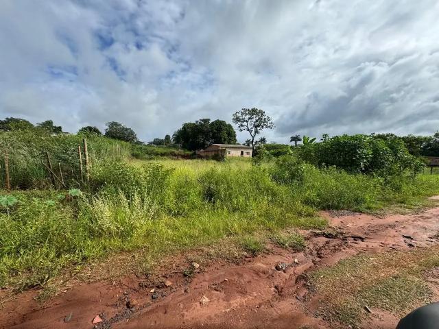 Terreno / Lote para Venda em Uberlândia/MG Morada Nova