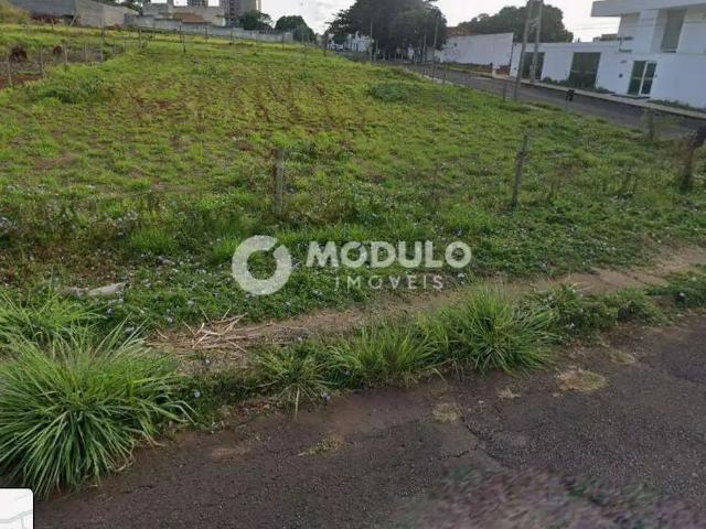 Terreno / Lote para Venda em Uberlândia/MG Morada da Colina