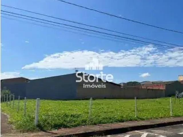 Terreno / Lote para Venda em Uberlândia/MG Marta Helena