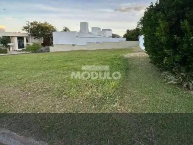 Terreno / Lote para Venda em Uberlândia/MG Nova Uberlândia
