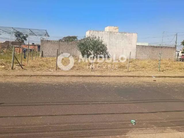 Terreno / Lote para Venda em Uberlândia/MG São Jorge