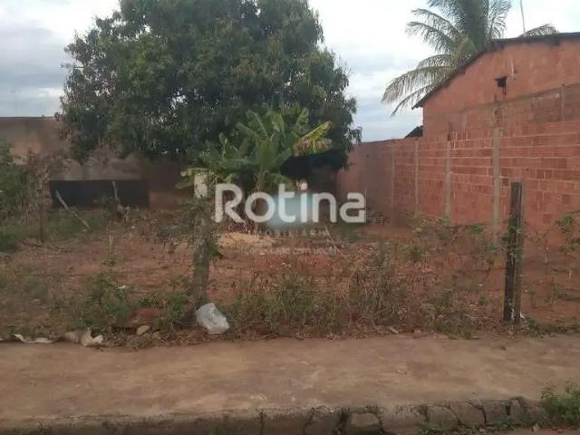 Terreno / Lote para Venda em Uberlândia/MG São Jorge