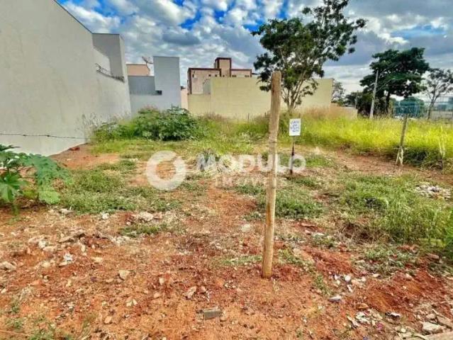 Terreno / Lote para Venda em Uberlândia/MG Santa Mônica