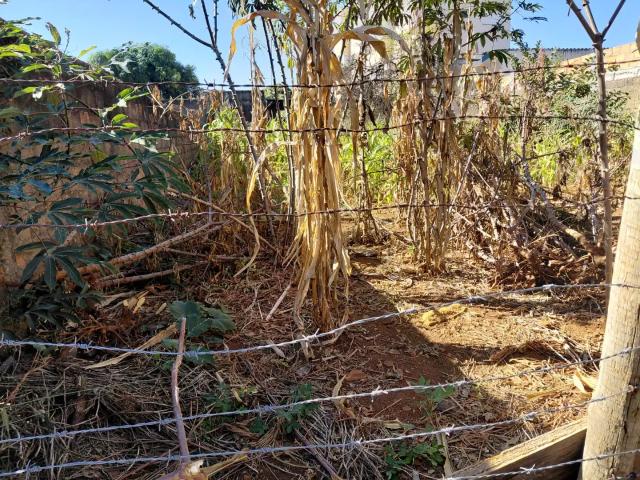 Terreno / Lote para Venda em Uberlândia/MG Santa Mônica