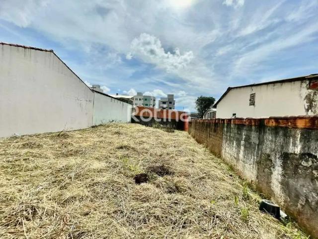 Terreno / Lote para Venda em Uberlândia/MG Santa Mônica