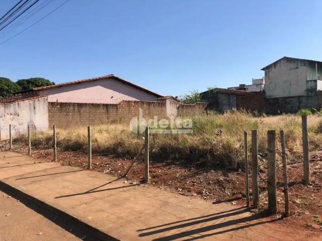 Terreno / Lote para Venda em Uberlândia/MG Santa Mônica