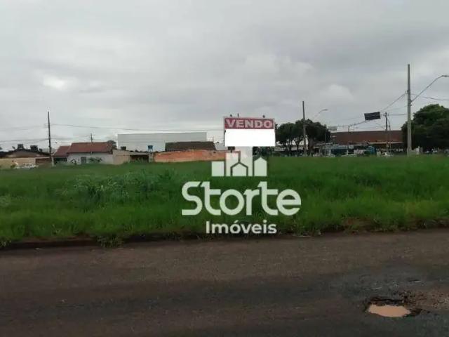 Terreno / Lote para Venda em Uberlândia/MG Segismundo Pereira