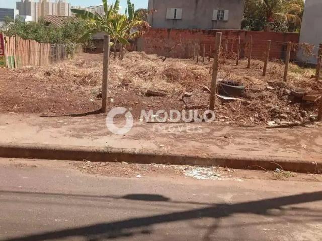 Terreno / Lote para Venda em Uberlândia/MG Shopping Park