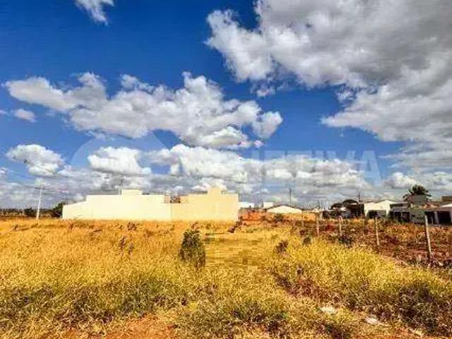 Terreno / Lote para Venda em Uberlândia/MG Shopping Park