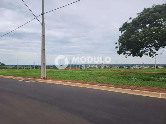 Terreno / Lote para Venda em Uberlândia/MG Shopping Park