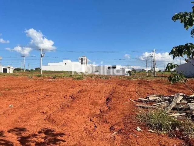 Terreno / Lote para Venda em Uberlândia/MG Portal do Vale