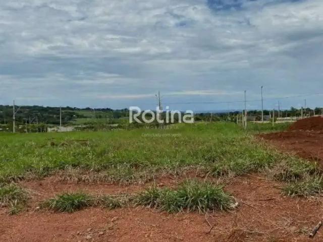 Terreno / Lote para Venda em Uberlândia/MG Portal do Vale