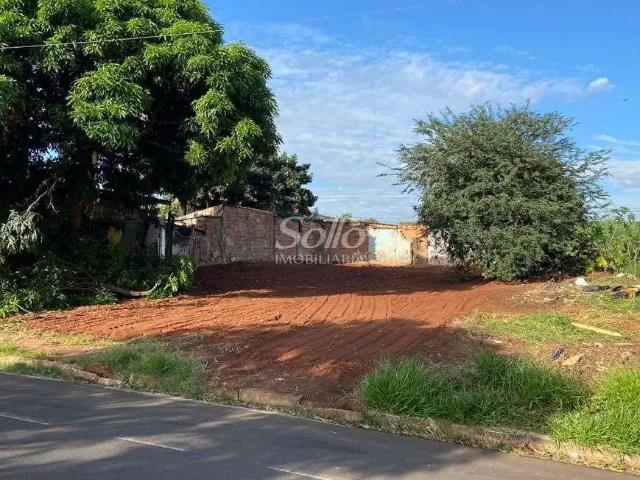 Terreno / Lote para Venda em Uberlândia/MG Pacaembu