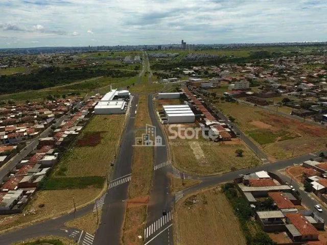 Terreno / Lote para Venda em Uberlândia/MG Park dos Jacarandás