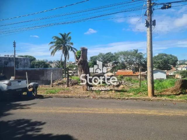 Terreno / Lote para Venda em Uberlândia/MG Presidente Roosevelt