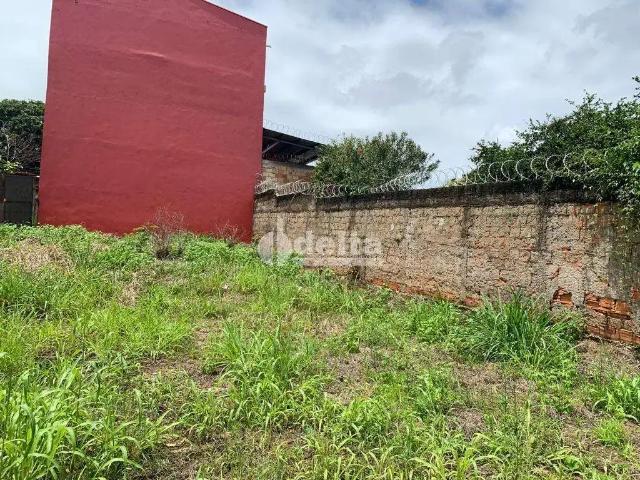 Terreno / Lote para Venda em Uberlândia/MG Presidente Roosevelt