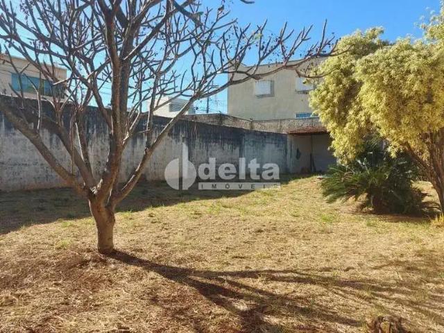 Terreno / Lote para Venda em Uberlândia/MG Tabajaras 1 Quartos