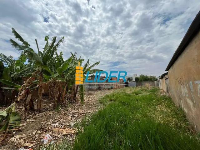 Terreno / Lote para Venda em Uberlândia/MG Tibery