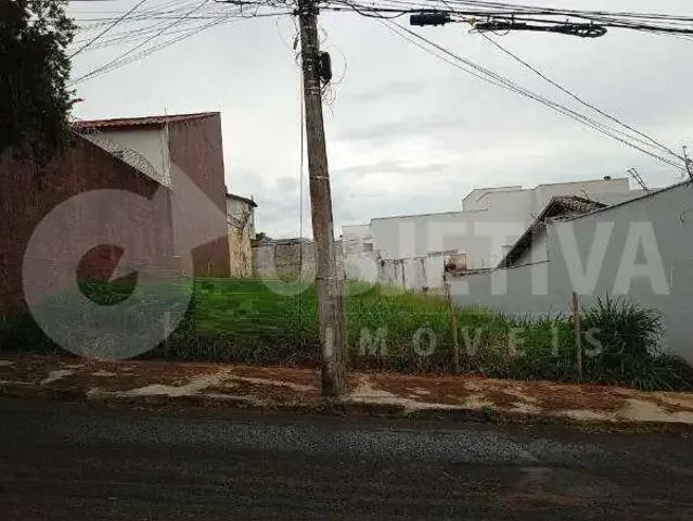 Terreno / Lote para Venda em Uberlândia/MG Vigilato Pereira
