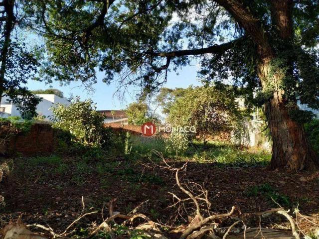 Terreno / Lote para Venda em Umuarama/PR Zona II
