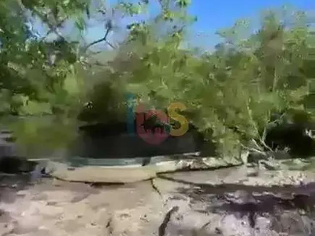 Terreno / Lote para Venda em Una/BA Pedras de Una