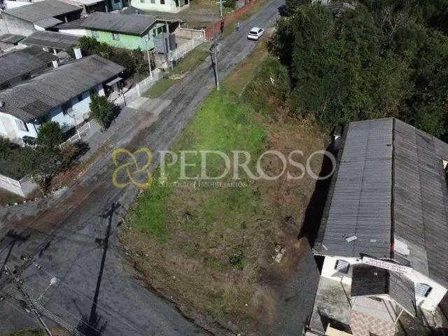Terreno / Lote para Venda em União da Vitória/PR Cristo Rei