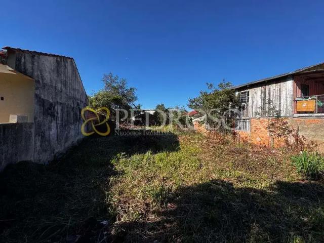 Terreno / Lote para Venda em União da Vitória/PR Cristo Rei