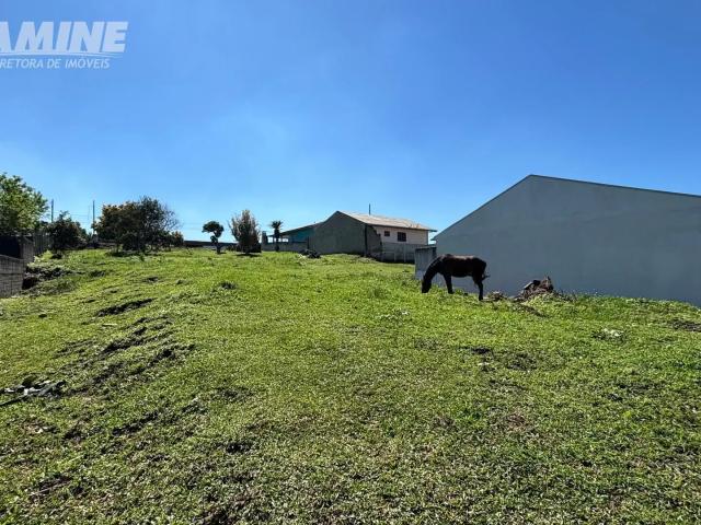 Terreno / Lote para Venda em União da Vitória/PR Bom Jesus