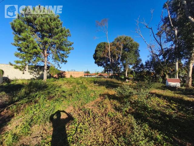 Terreno / Lote para Venda em União da Vitória/PR Bom Jesus