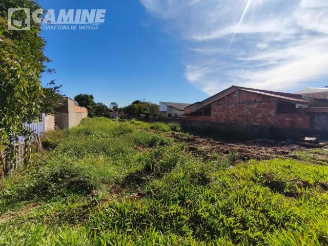 Terreno / Lote para Venda em União da Vitória/PR Bento Munhoz da Rocha