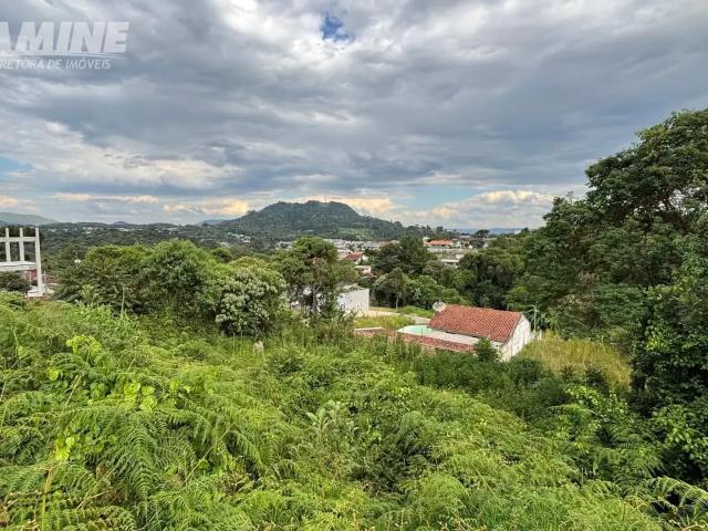 Terreno / Lote para Venda em União da Vitória/PR Jardim Muzzolon