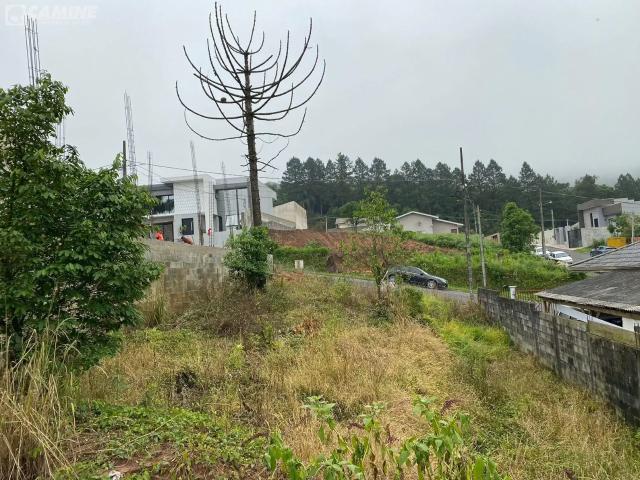 Terreno / Lote para Venda em União da Vitória/PR Jardim Muzzolon
