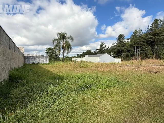 Terreno / Lote para Venda em União da Vitória/PR Jardim Muzzolon