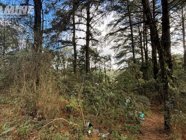 Terreno / Lote para Venda em União da Vitória/PR Limeira