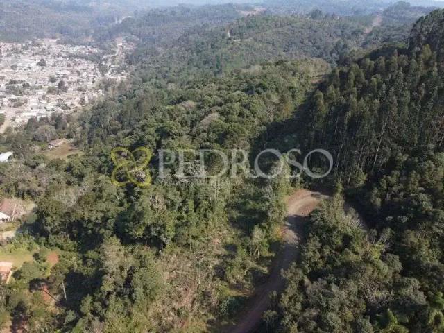 Terreno / Lote para Venda em União da Vitória/PR Monte Castelo