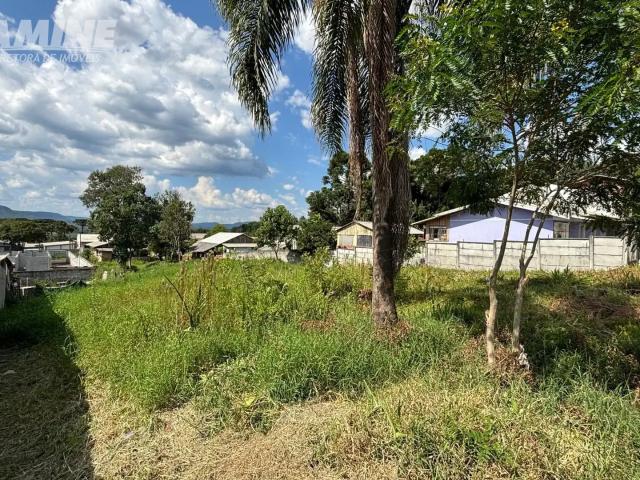 Terreno / Lote para Venda em União da Vitória/PR São Braz