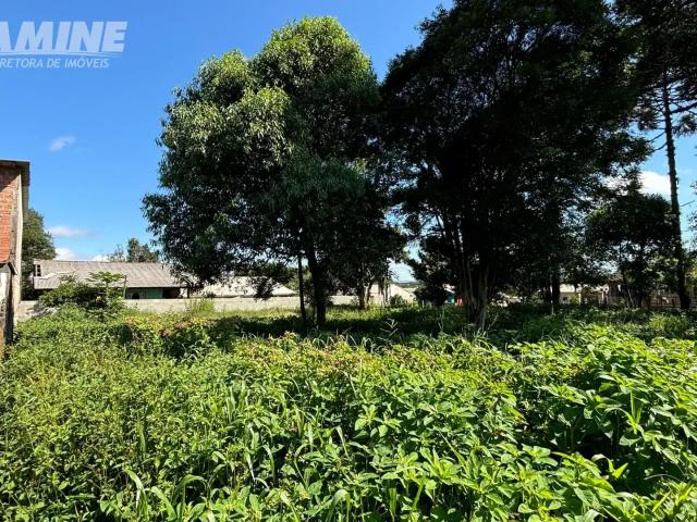 Terreno / Lote para Venda em União da Vitória/PR São Sebastião