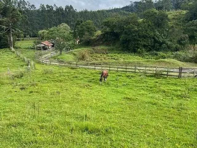 Terreno / Lote para Venda em Urubici/SC Águas Brancas