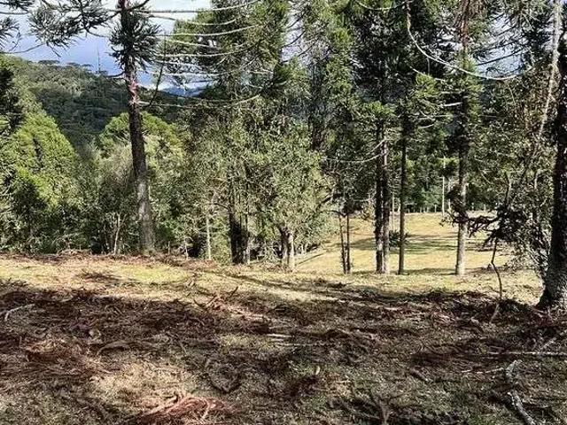 Terreno / Lote para Venda em Urubici/SC Águas Brancas